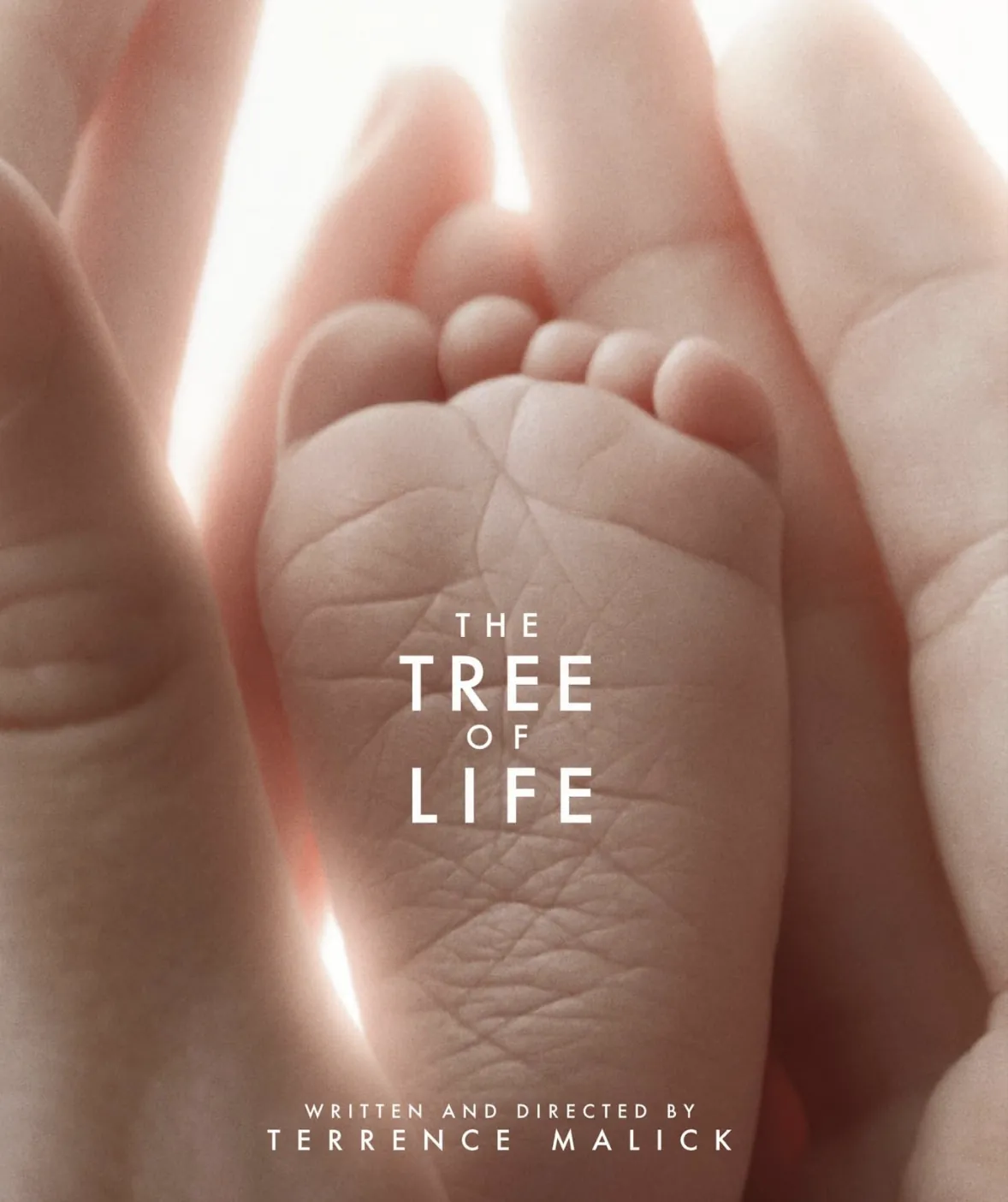 The Tree of Life